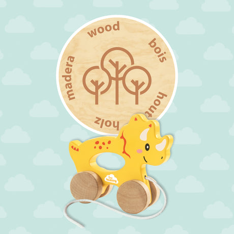 Push and Pull 2 in 1 Wooden Triceratops