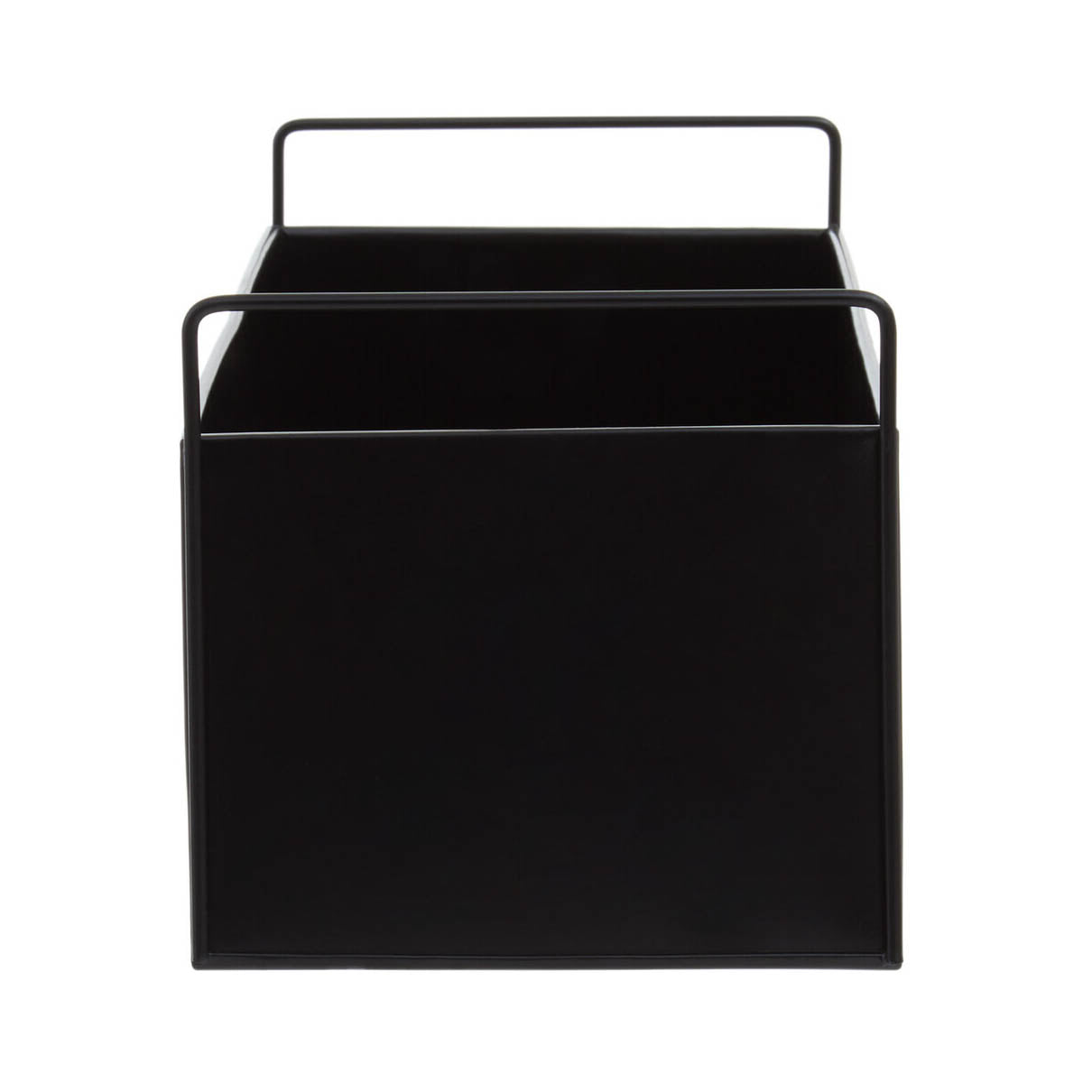 Asher Black Box Large Wall Plant