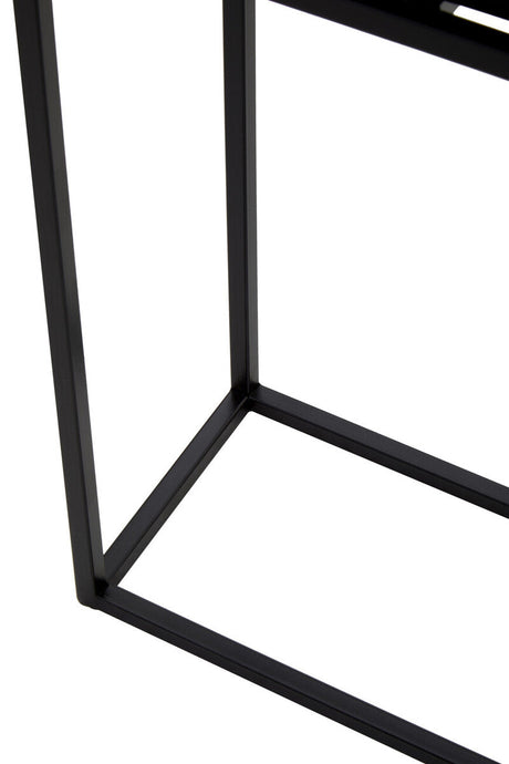 Asher Floor Standing Black Plant Box