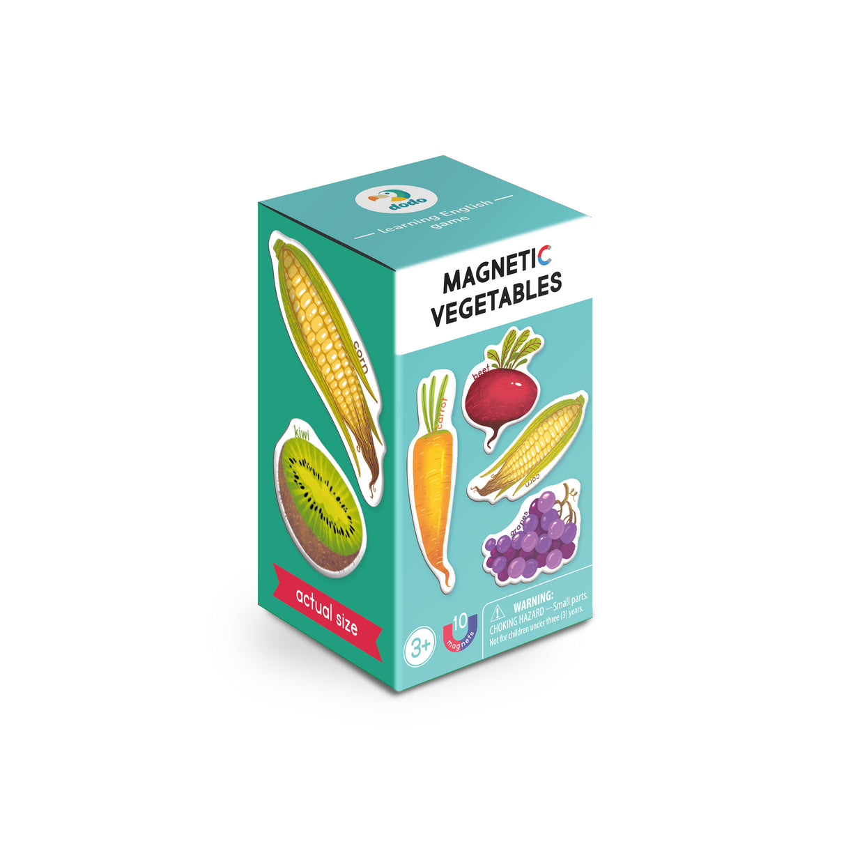 Magnetic Vegetables