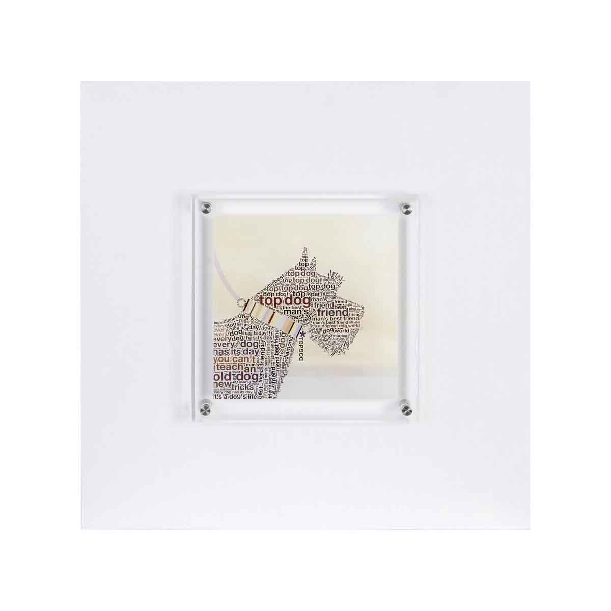 Framed Scottie Wall Art