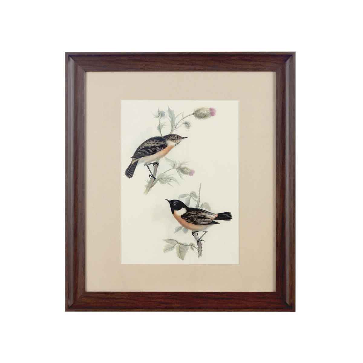 Framed Birds 2 Wall Art
