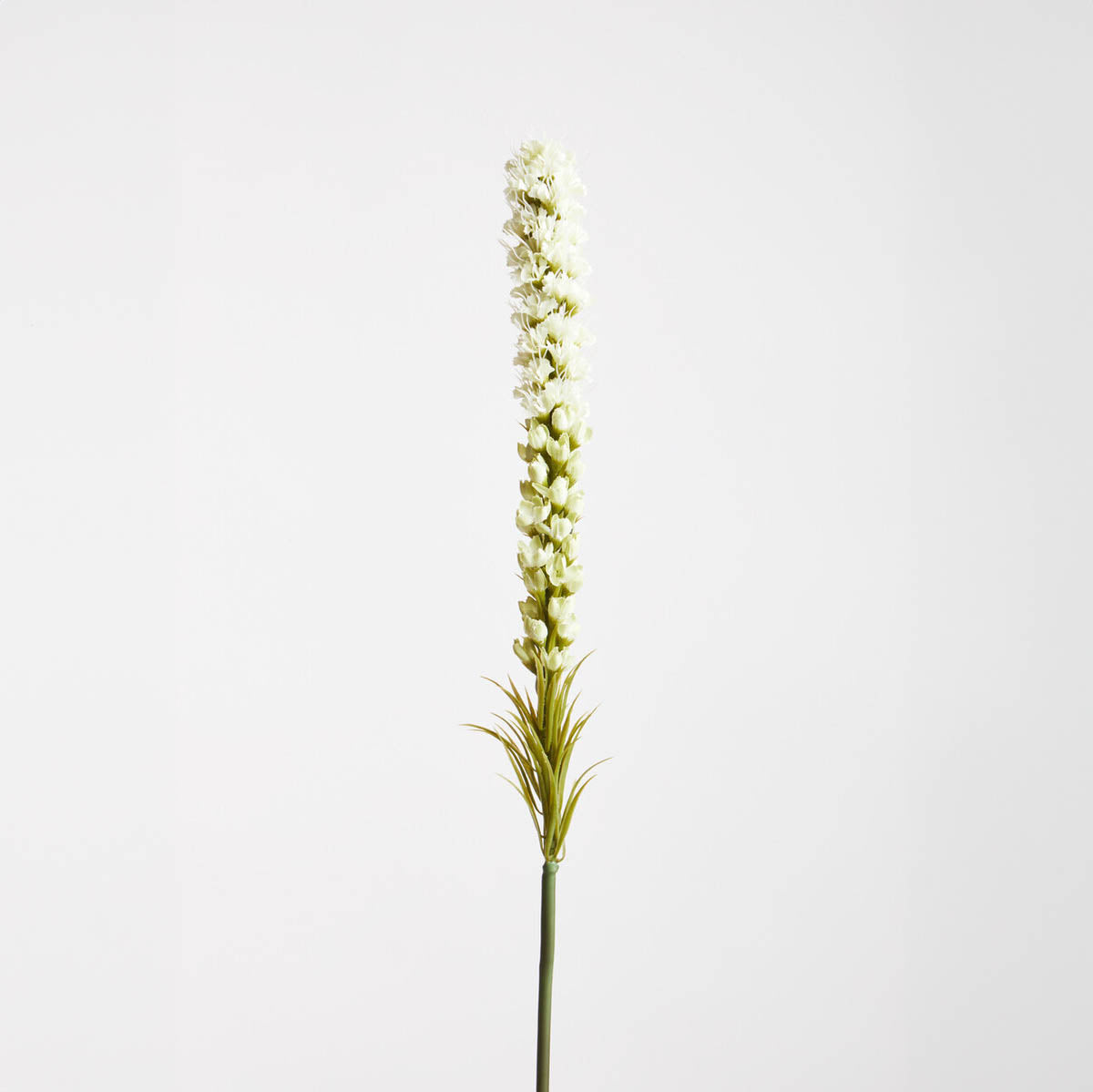 Fiori Grey Feather Stem