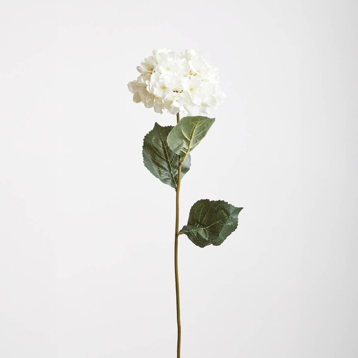 Fiori Cream Hydrangea Stem