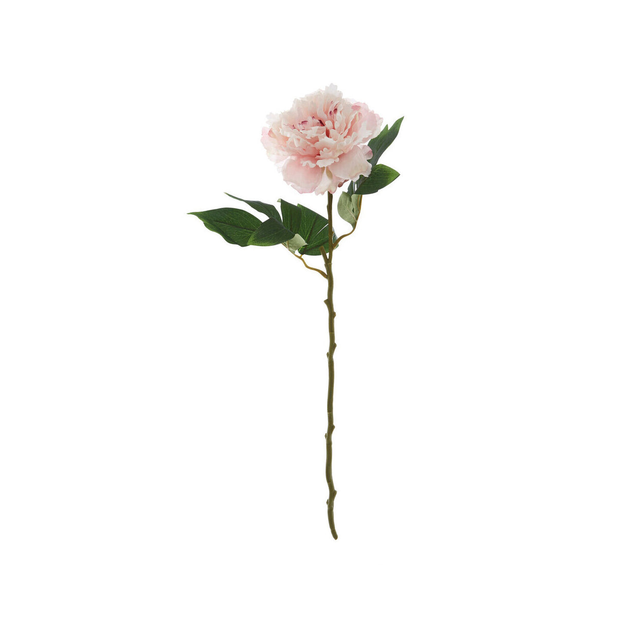 Fiori Artificial flowers Pink Peony Stem