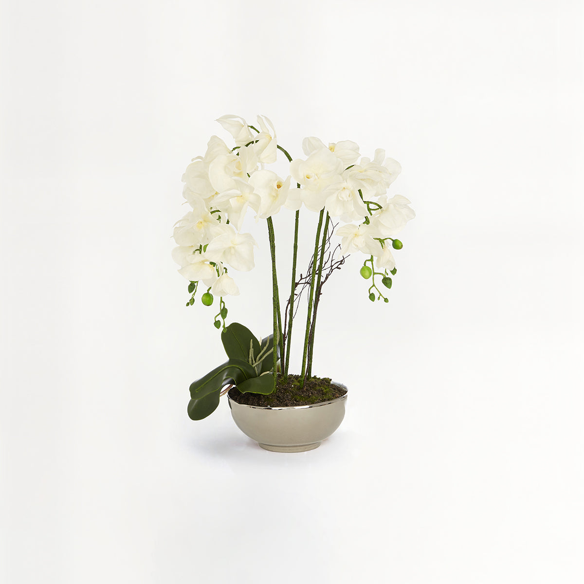 Fiori White Orchid Plant With Round Silver Pot