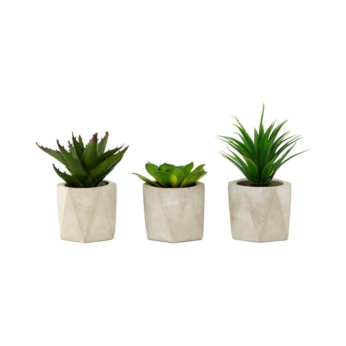 Fiori Set of 3 Succulents in Geo Cement Pots