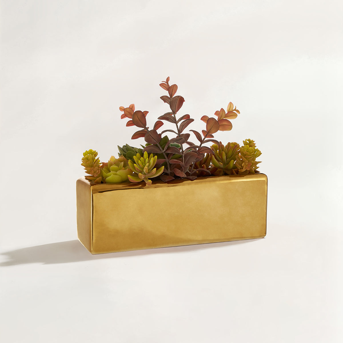 Fiori Mixed Succulents with Ceramic Gold Pot