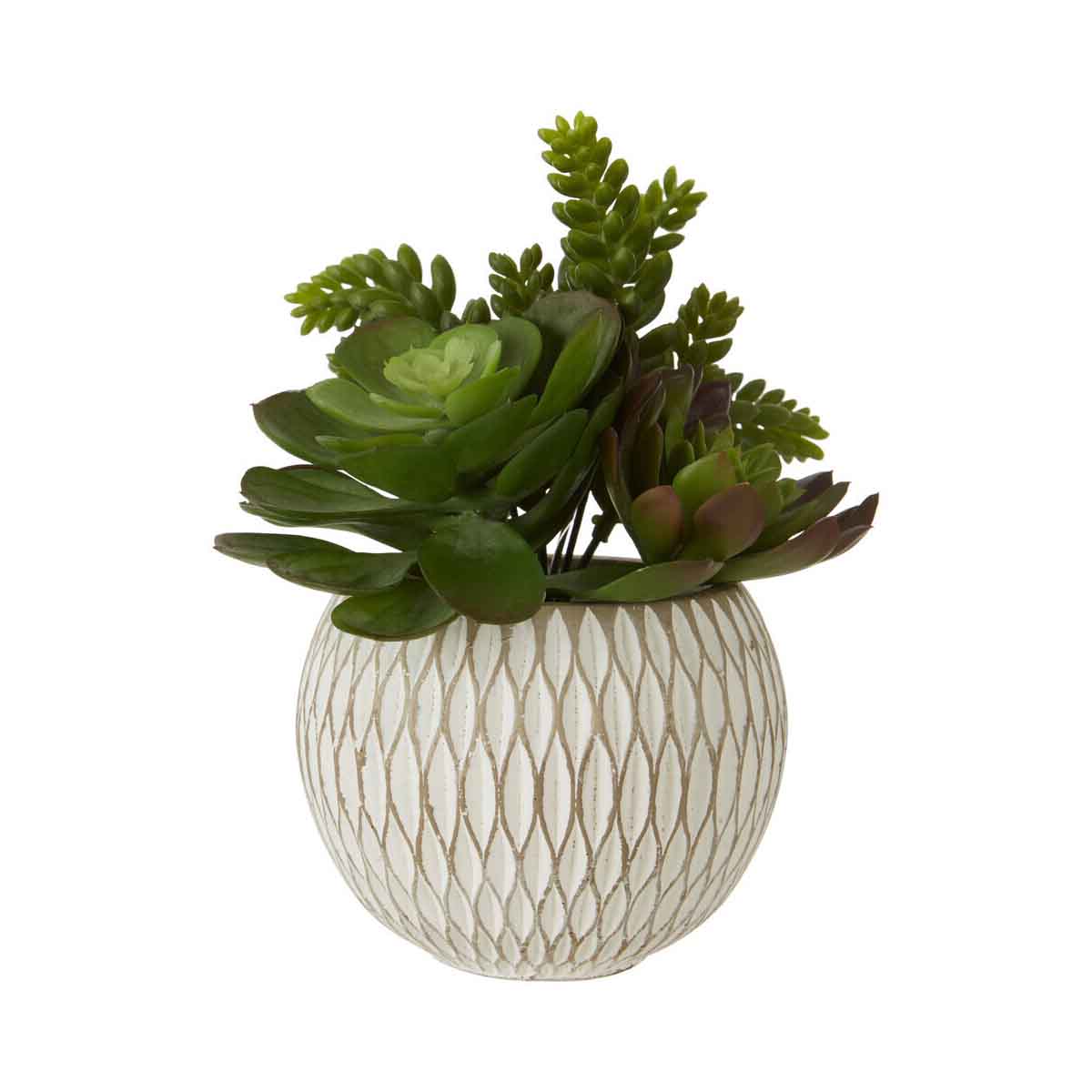 Fiori White Round Pot Mixed Succulent