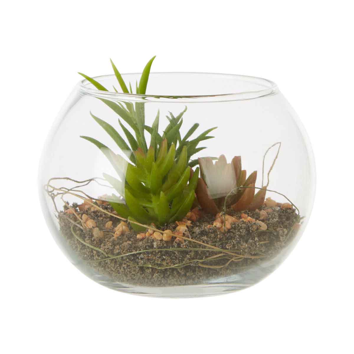 Fiori Small Glass Pot Mixed Succulent