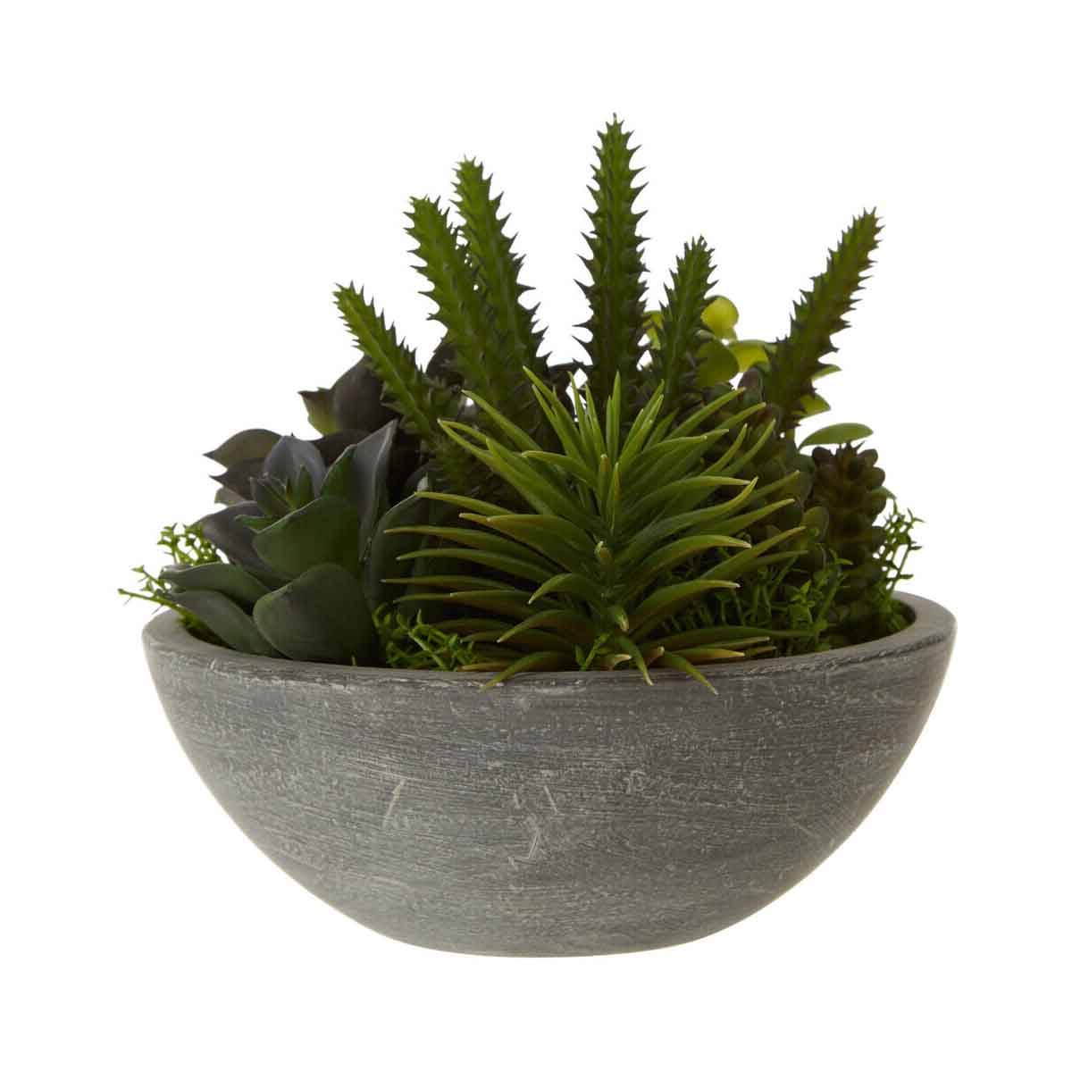 Fiori Paper Stone Effect Pot Mixed Succulent