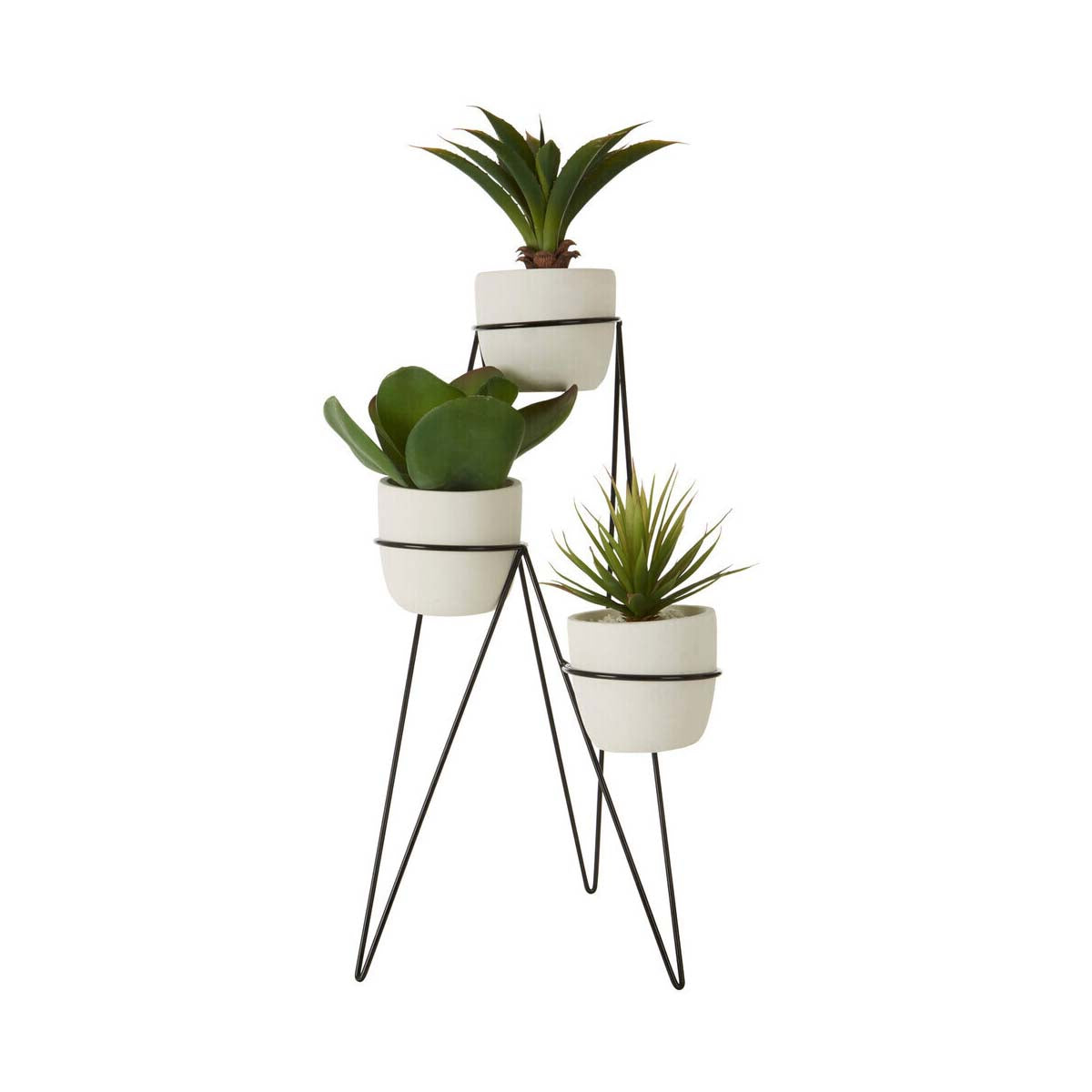 Fiori Set of 3 Succulents with Metal Stand