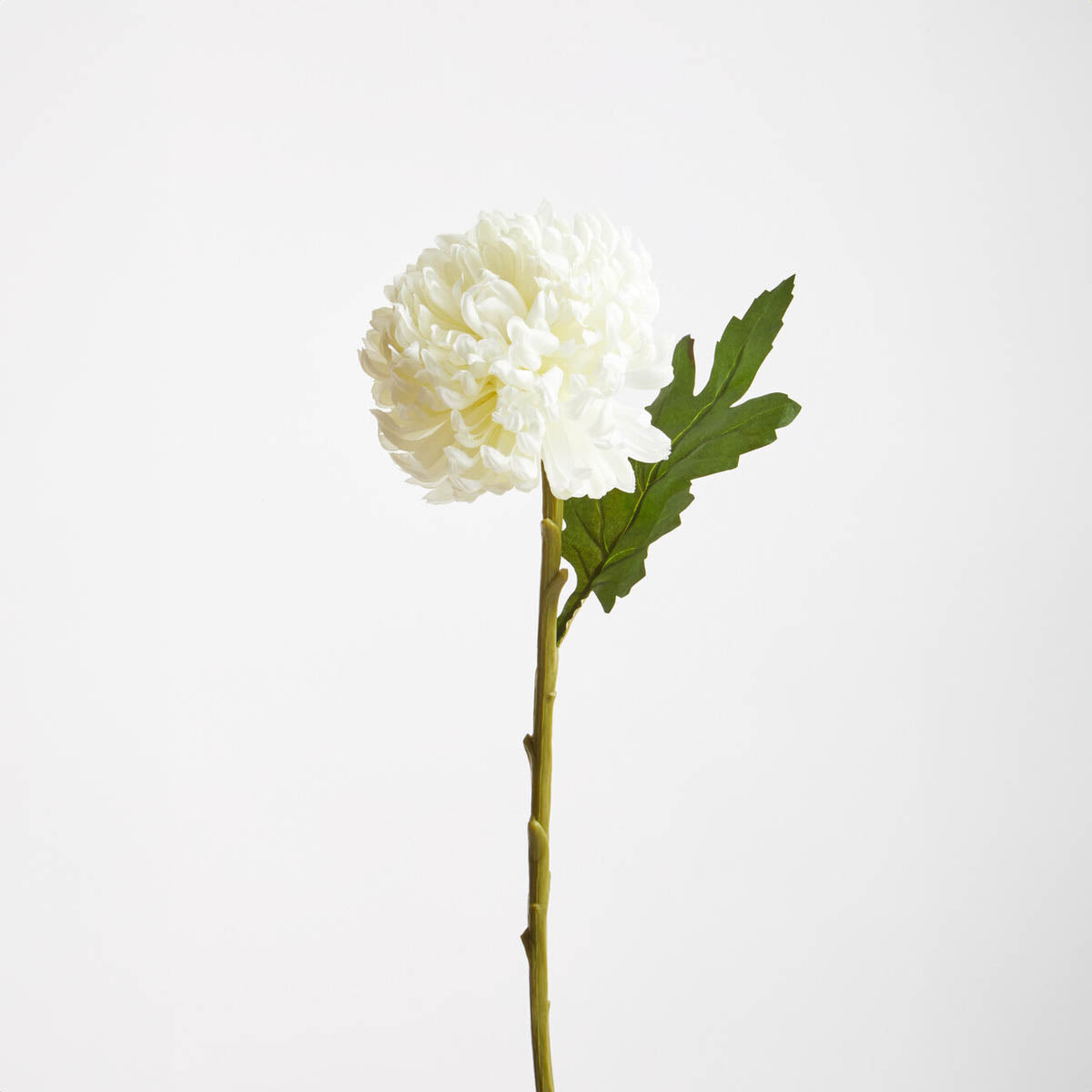 Fiori 84cm Chrysanthemum White Stem