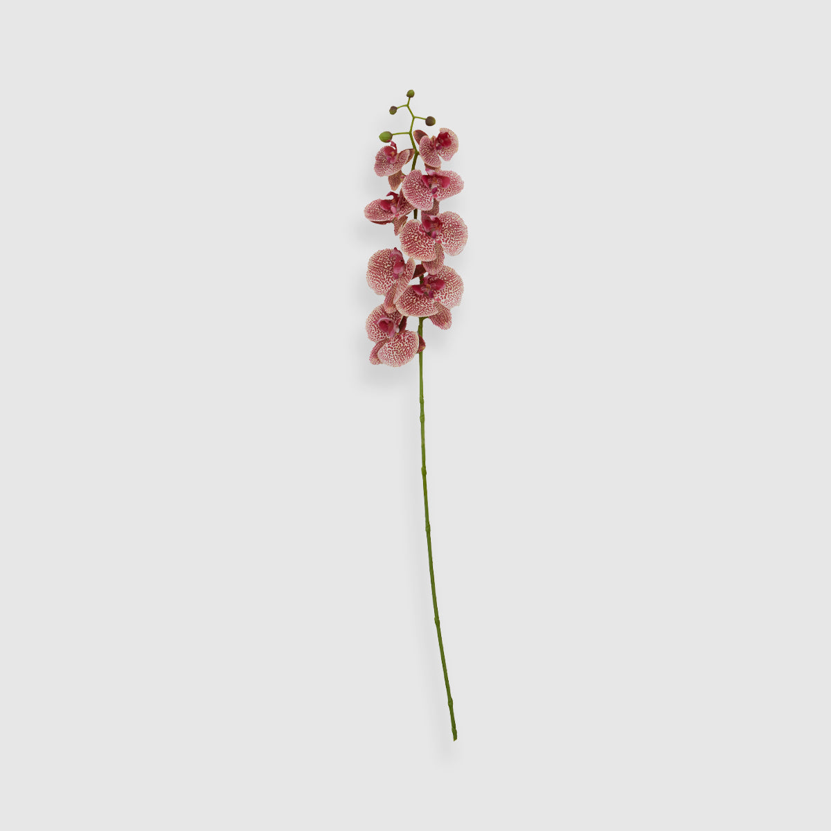 Fiori 100cm Spray Pink Orchid