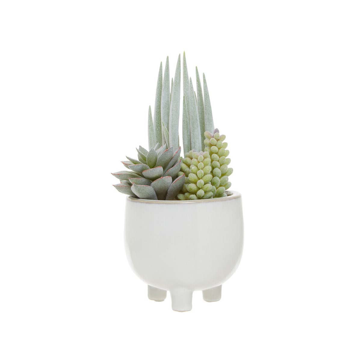 Fiori Mixed Succulents With White Ceramic Pot