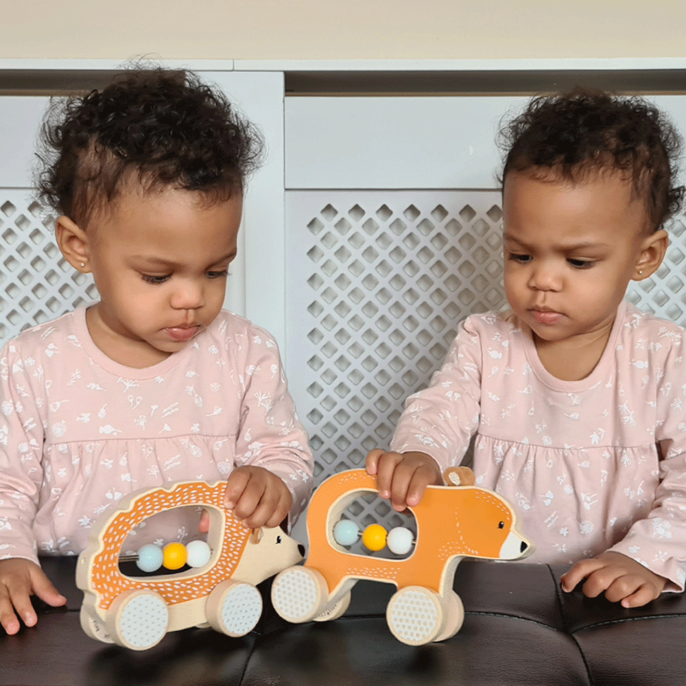 Push Along Hedgehog - FSC® Certified