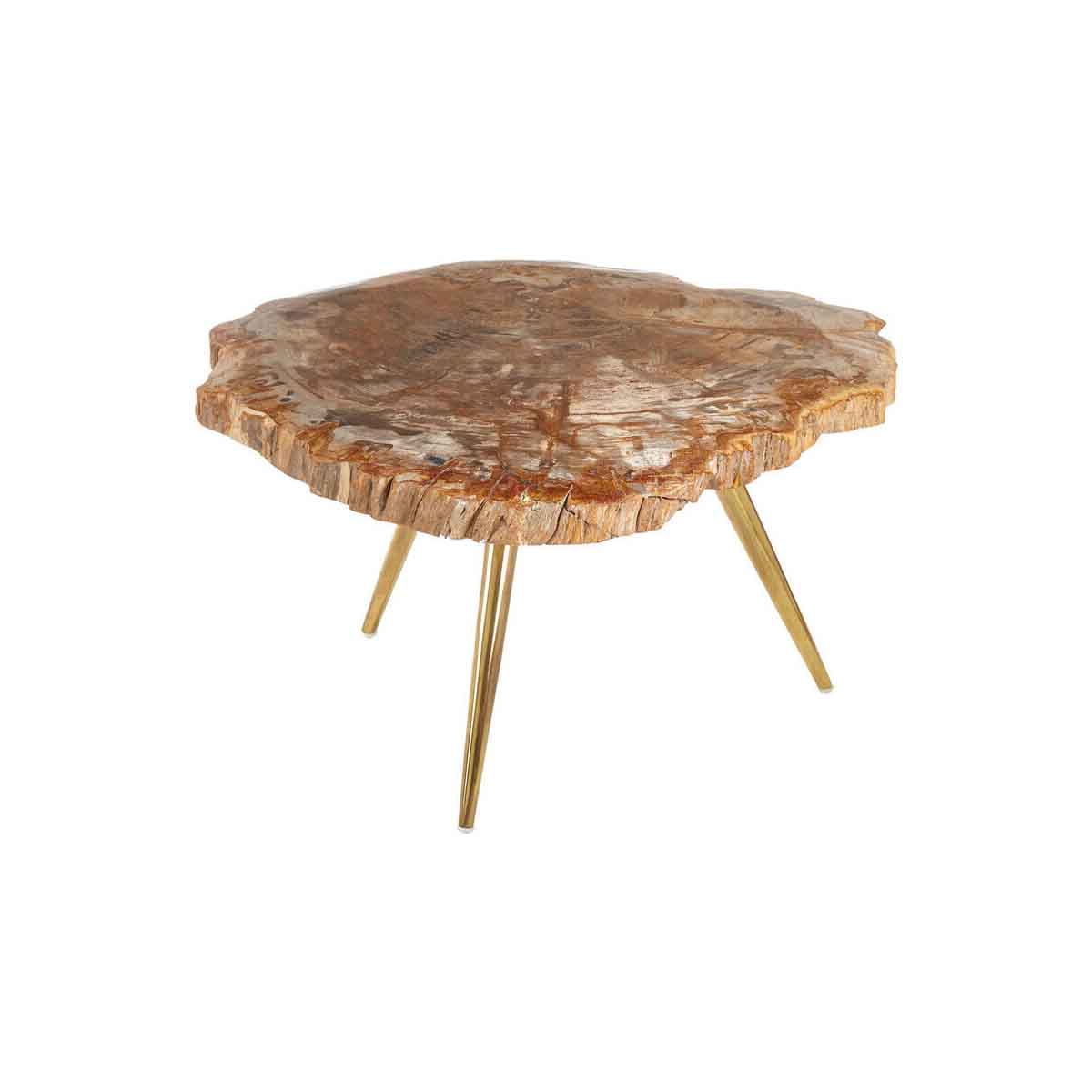 Relic Petrified Wood Coffee Table