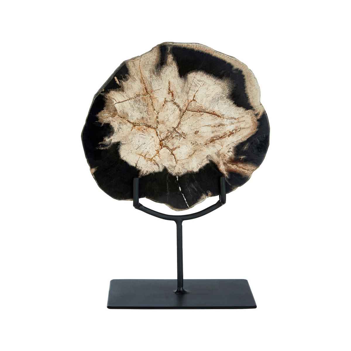 Relic Small Petrified Wood Sculpture