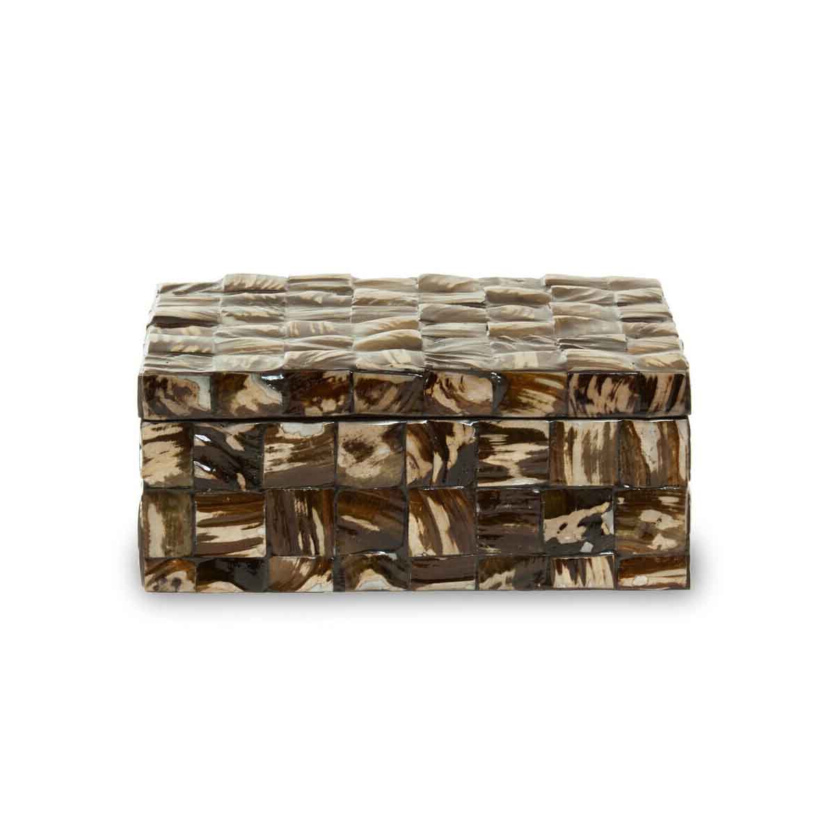 Branna Large Natural Shell Detail Box