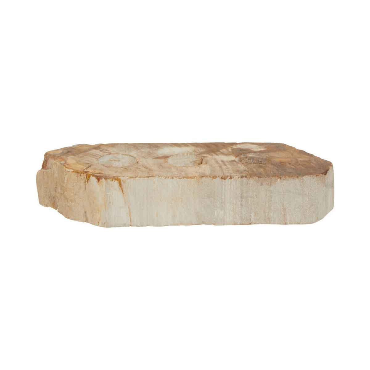 Relic Petrified Wood 3 Tealight Holder