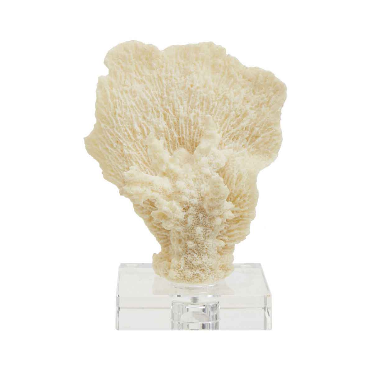 Boho Small White Coral