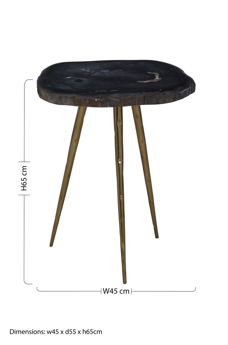 Relic Side Table With Petrified Wood Top and Brass Finish Legs