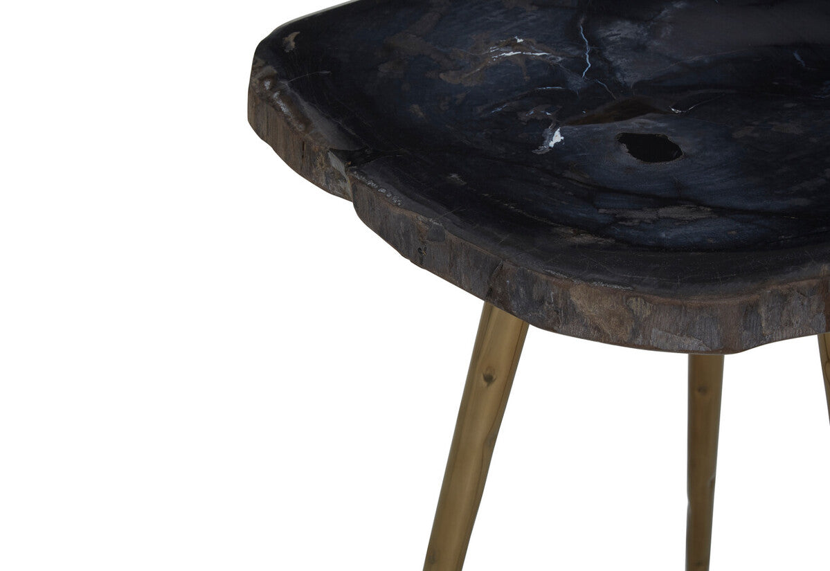 Relic Side Table With Petrified Wood Top and Brass Finish Legs