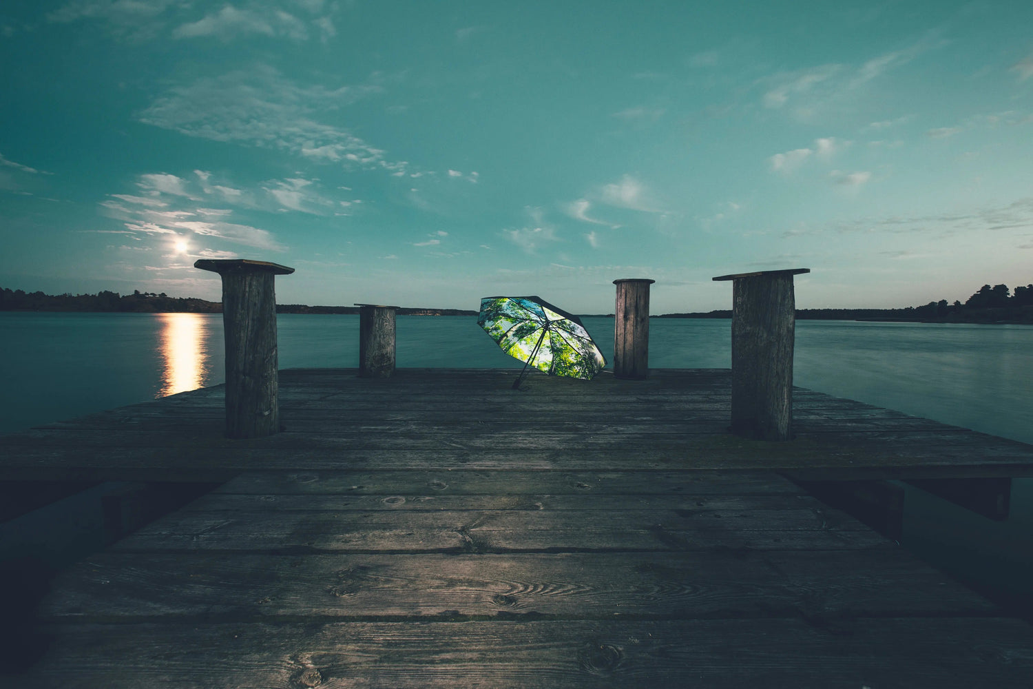 Forest Umbrella – Windproof & UPF50+