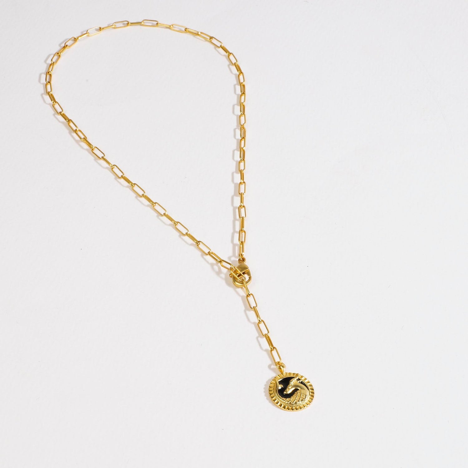 Zodiac Star Sign  - Capricorn Necklace