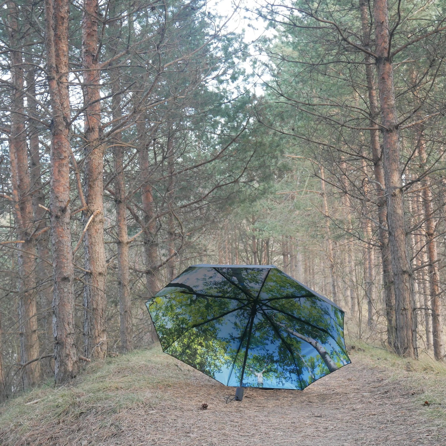 Forest Umbrella – Windproof & UPF50+