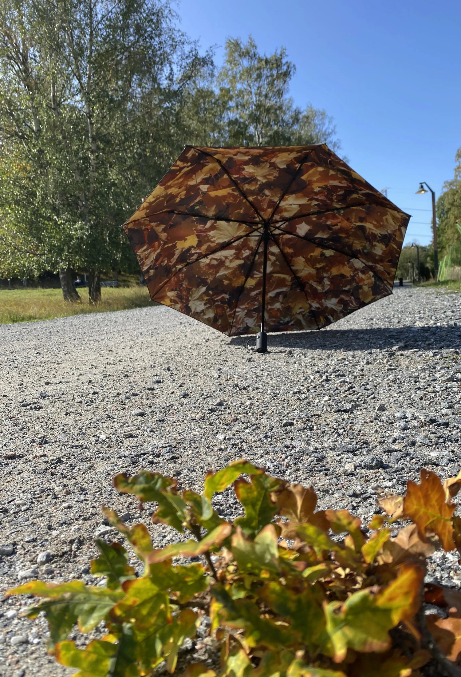 Höst Umbrella – Windproof & UPF50+