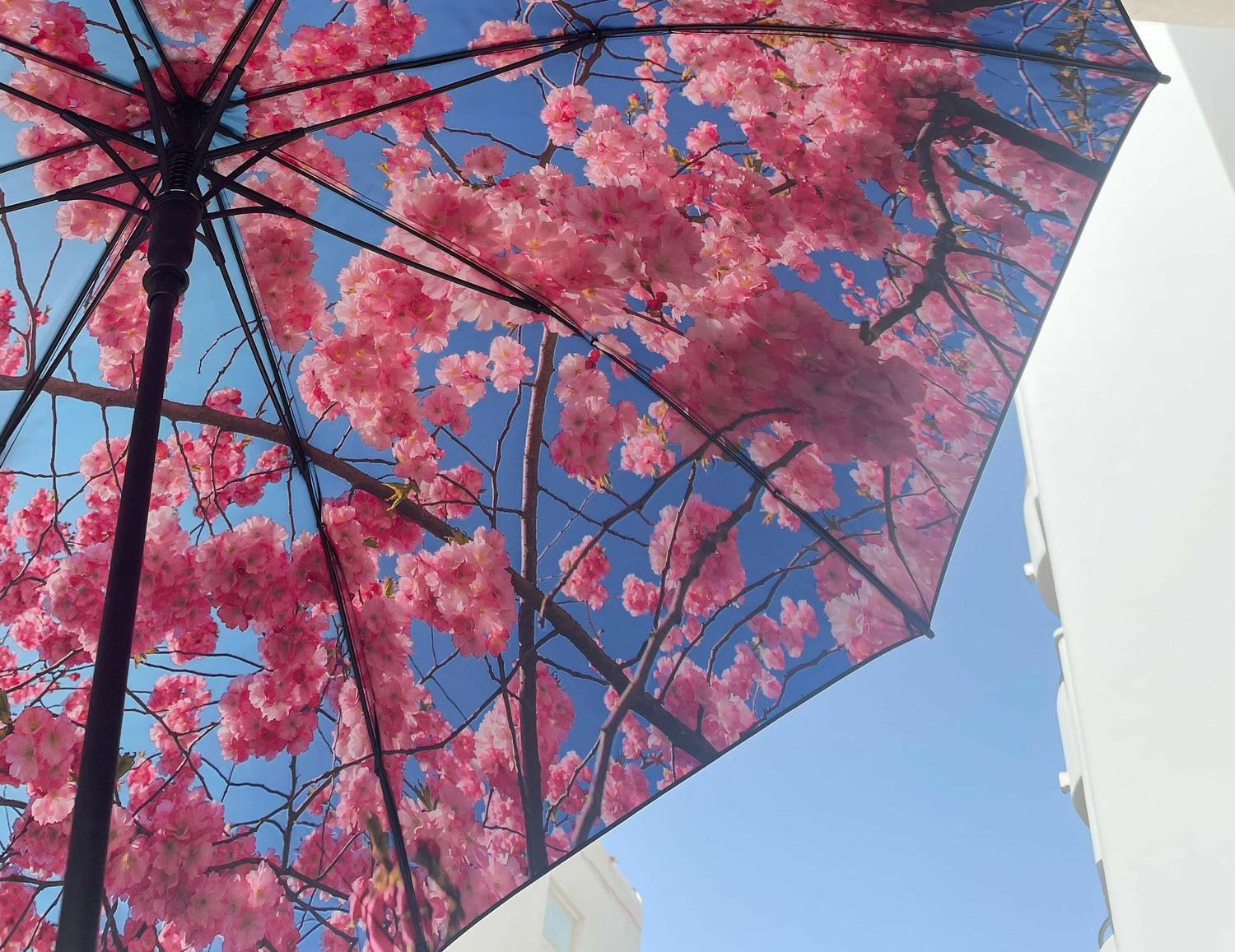 Cherry Large Umbrella – Windproof & UPF50+