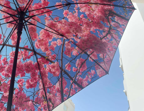 Cherry Large Umbrella – Windproof & UPF50+