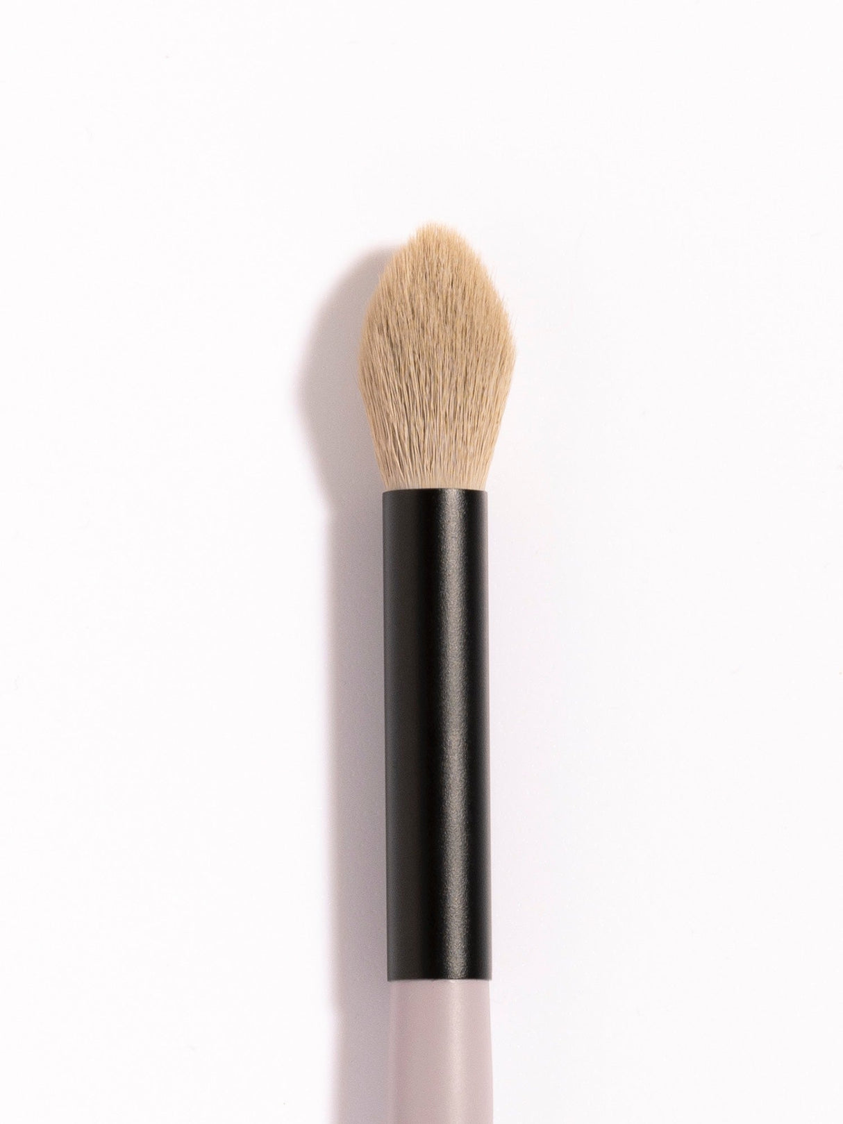 Multi Use Powder Brush