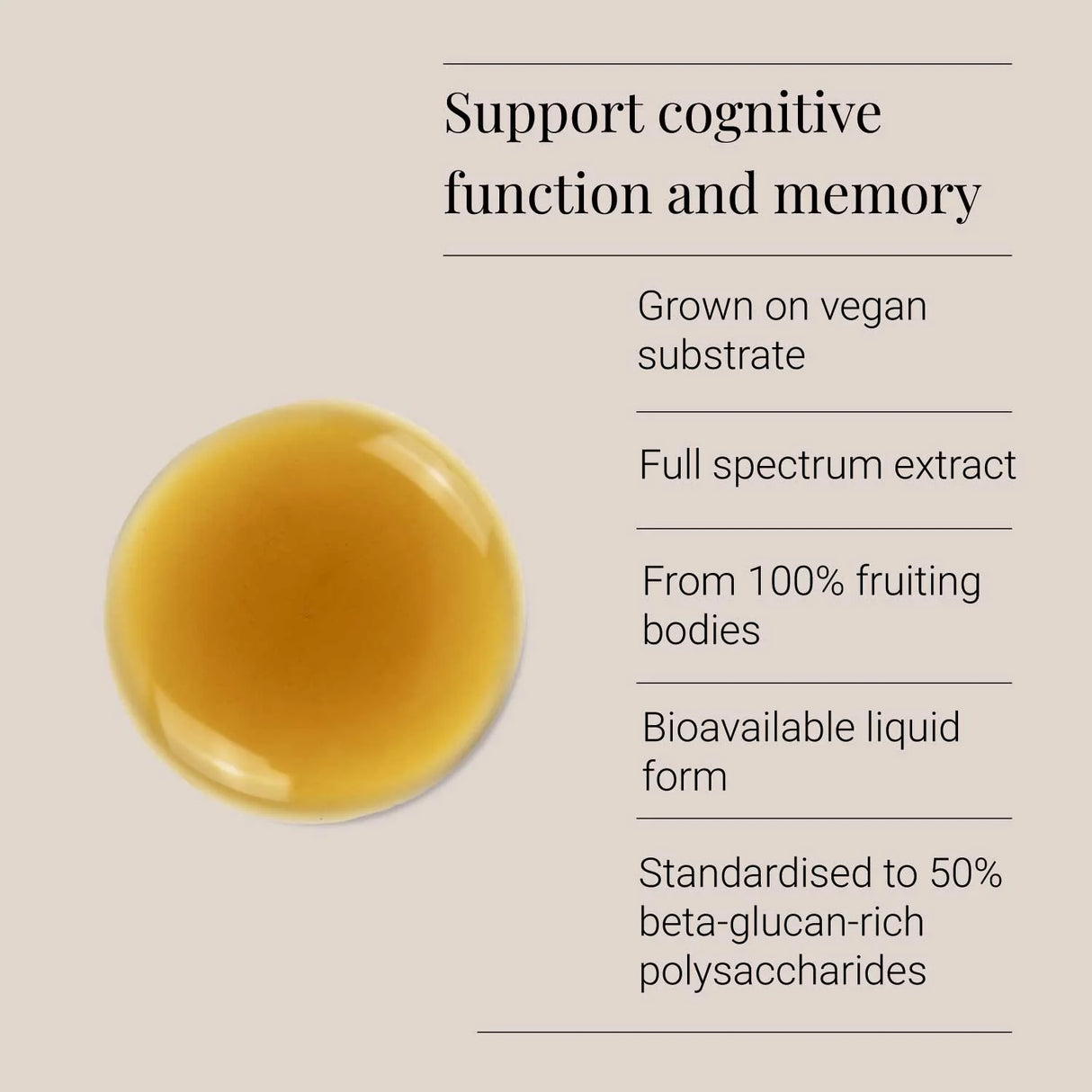 Organic Lion's Mane Tincture 50ml