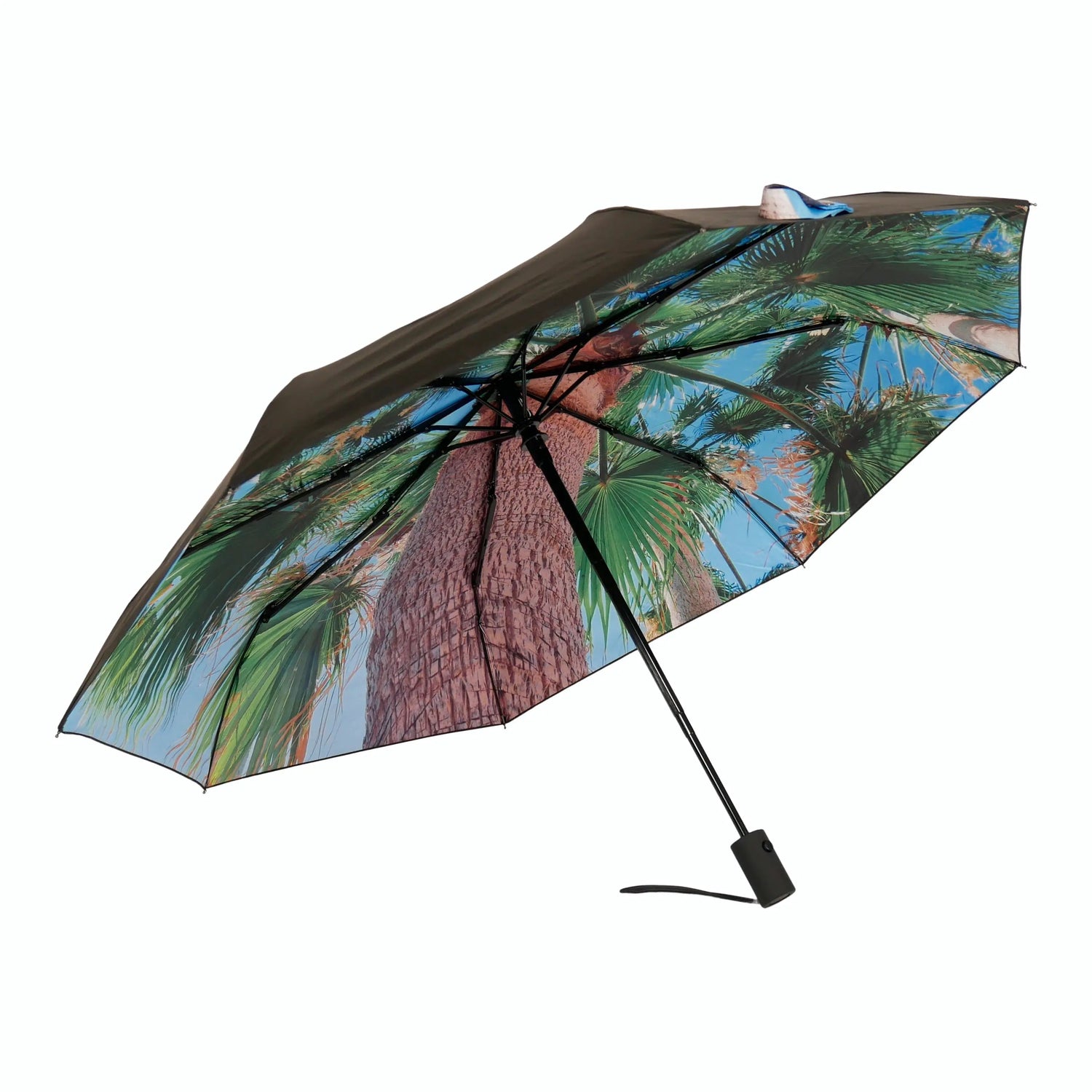 Paradise Umbrella – Windproof & UPF50+