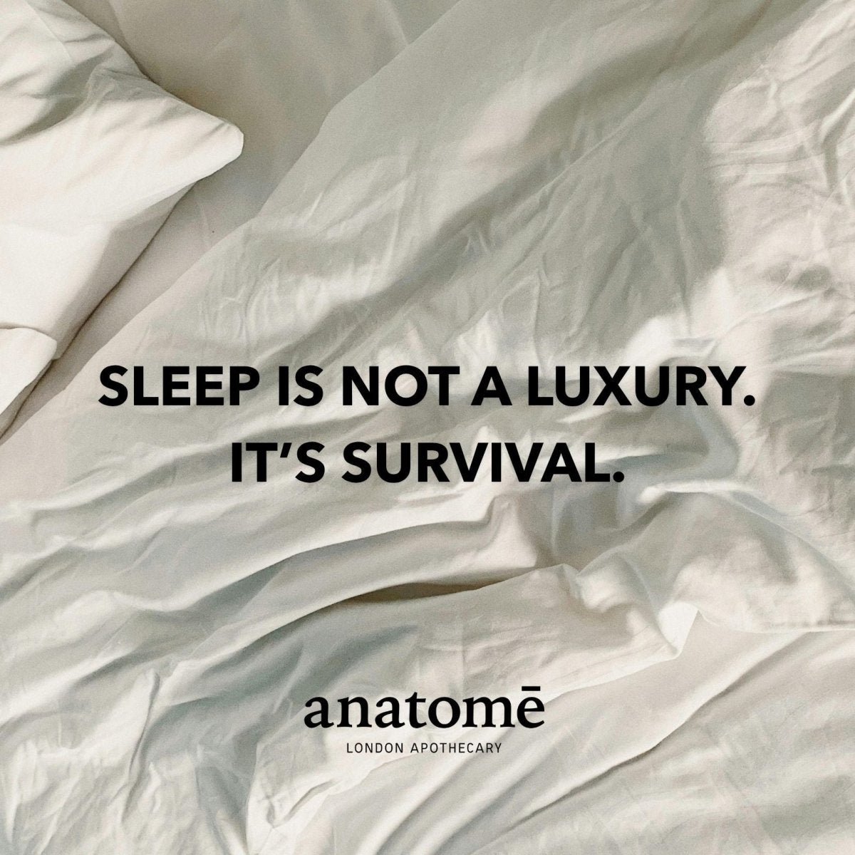 Stressed Mind Sleep Oil | Lavender Complex