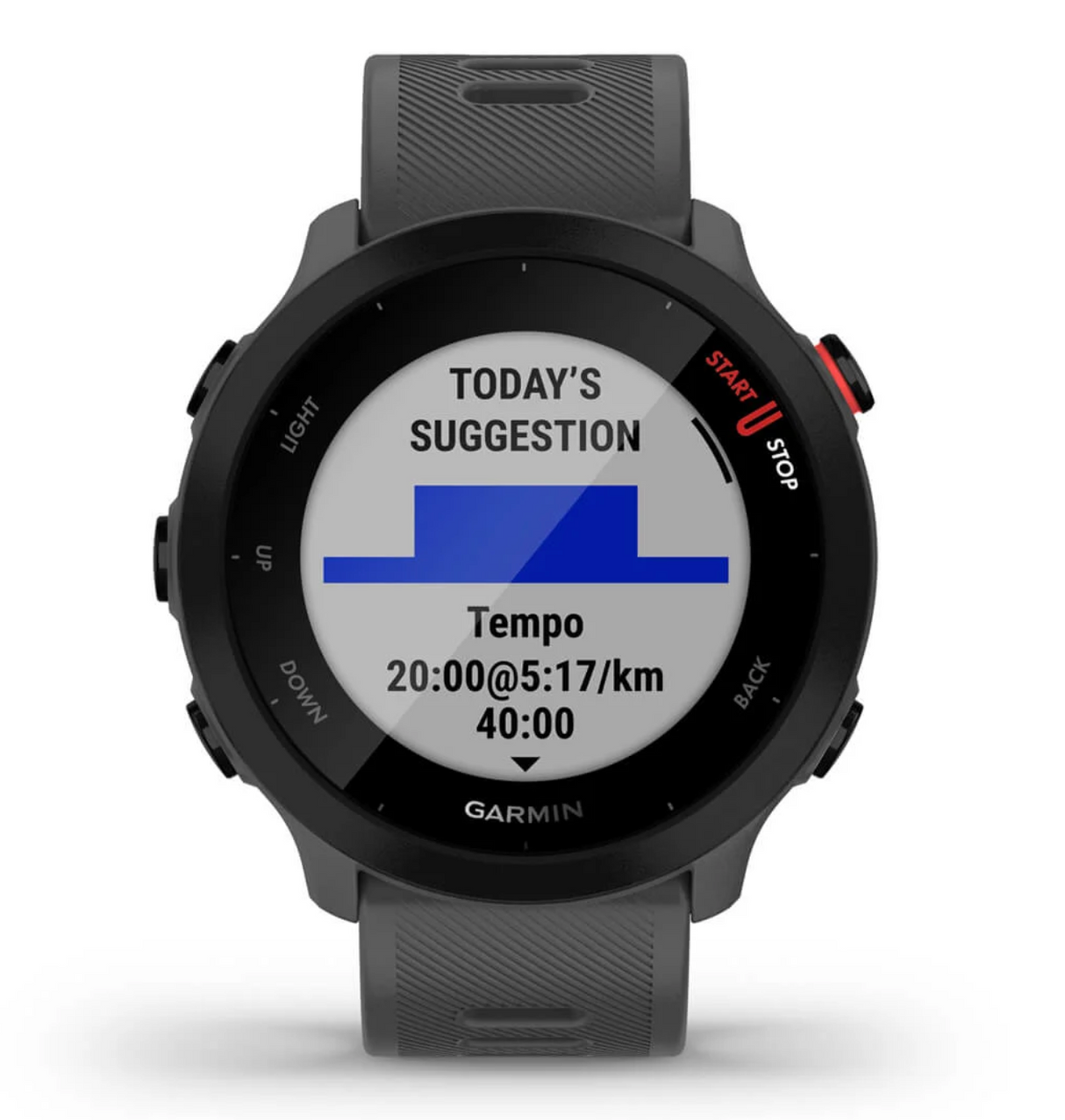 Forerunner 55, GPS, EU, Monterra Grey