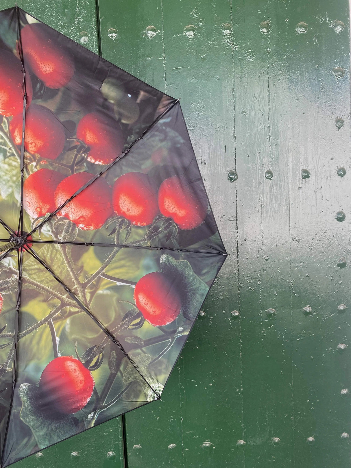 Tomato Umbrella – Windproof & UPF50+ Protection