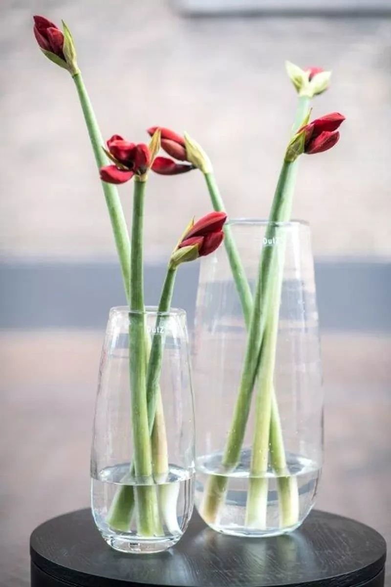 VASE ROBERT - CLEAR glass by DutZ