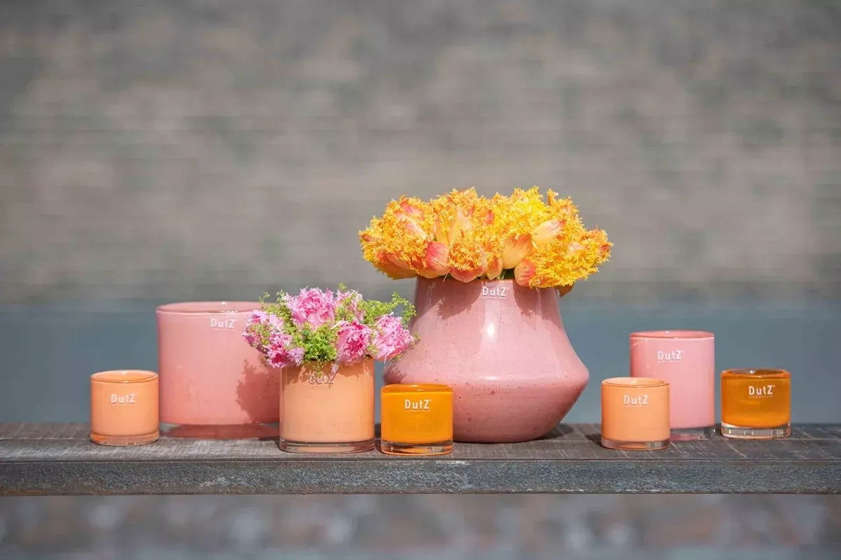 Orchid POT MARCO - PEACH