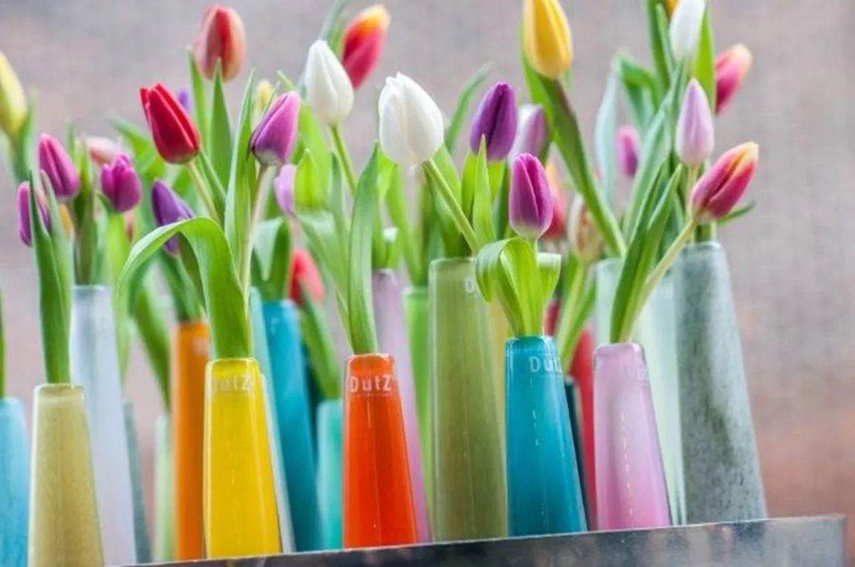 VASE SOLIFLEUR Budvase - NAVY