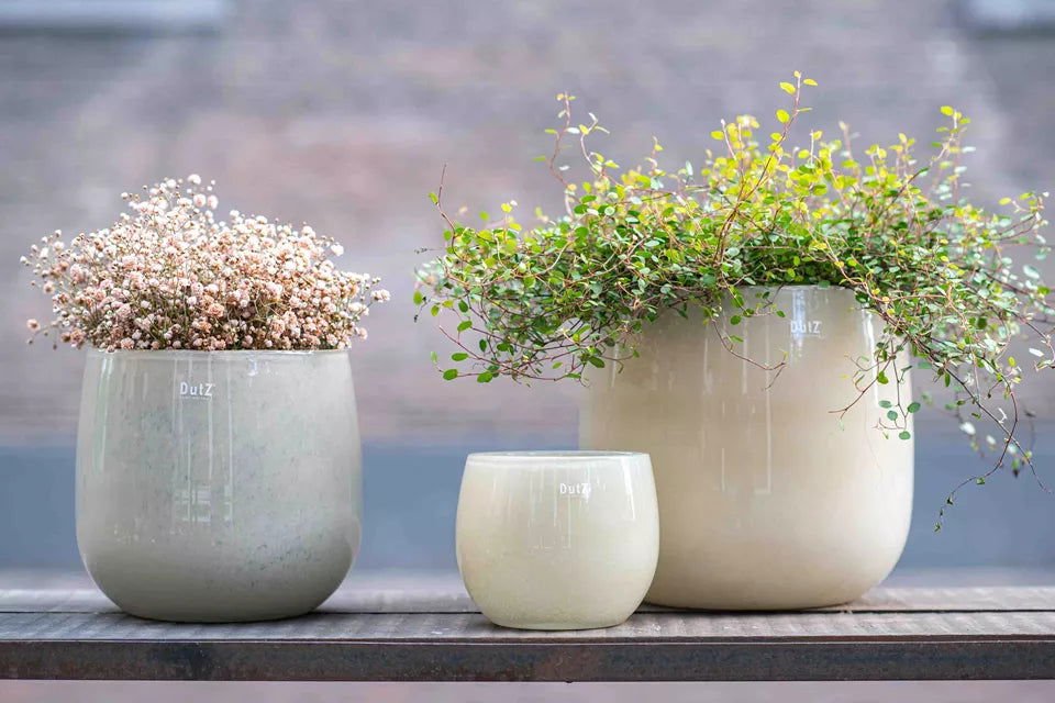 GLASS POT - BEIGE Colour by DutZ
