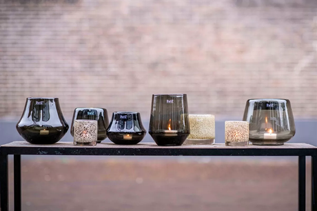 Orchid POT MARCO - SMOKE by DutZ