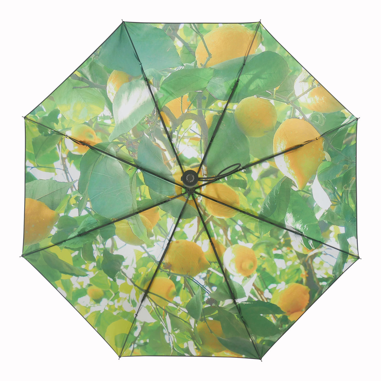 Lemon Umbrella – Windproof & UPF50+