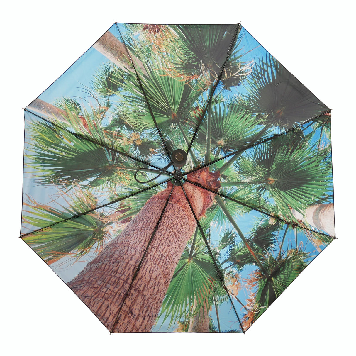 Paradise Umbrella – Windproof & UPF50+