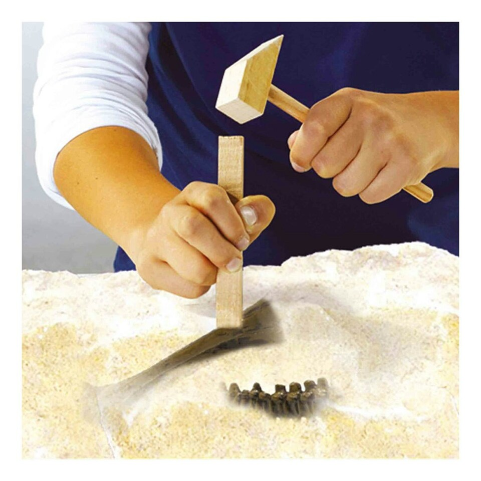 Dino and Skeleton Excavation 2 in 1 - Stegosaurus