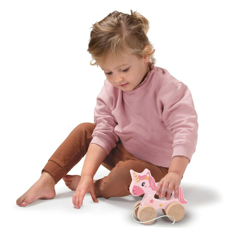 Push and Pull 2 in 1 Wooden Unicorn