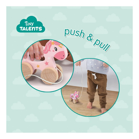 Push and Pull 2 in 1 Wooden Unicorn