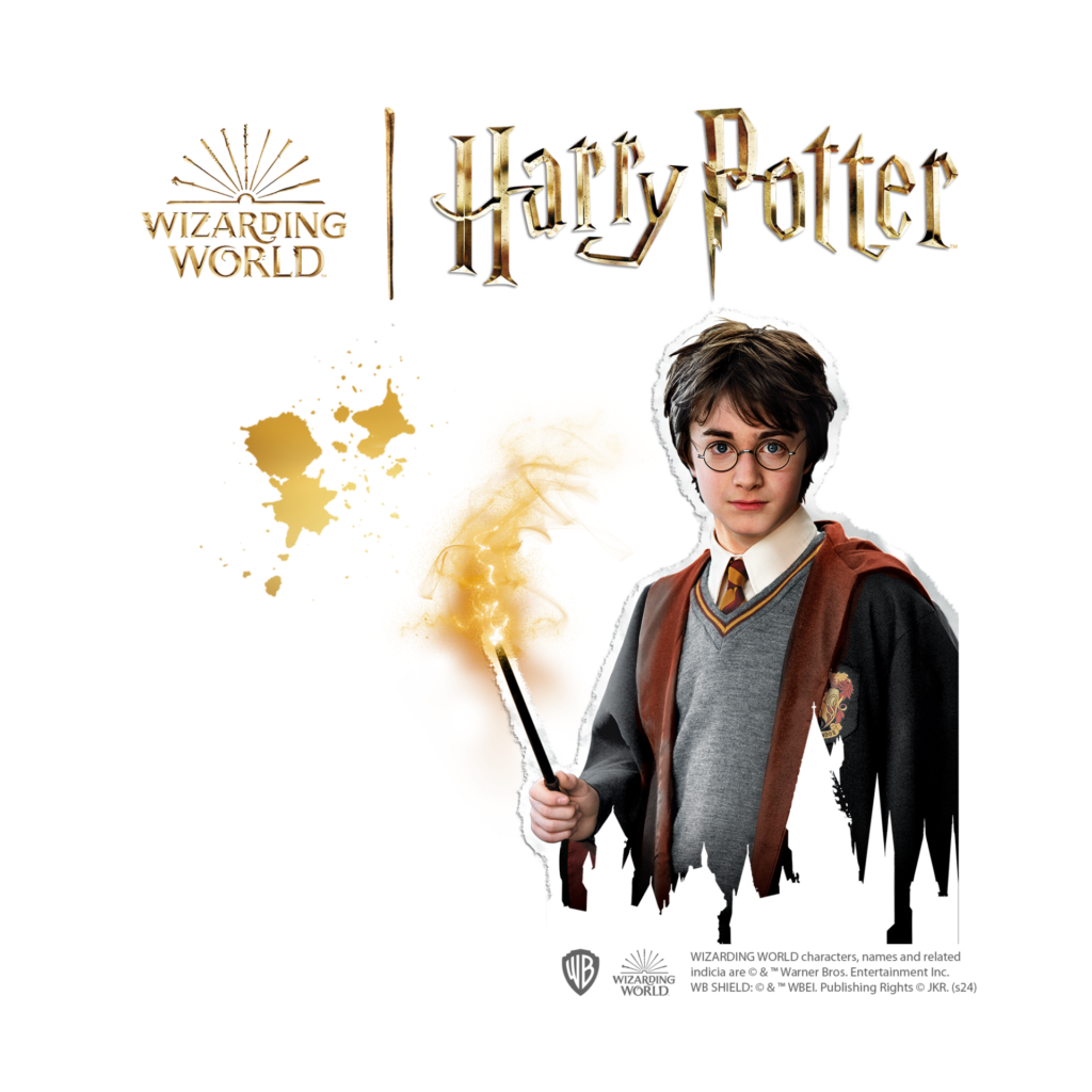 Harry Potter - Iron on Beads Set (Figures)